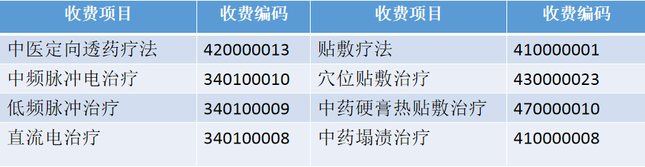 中医定向透药治疗系统收费编码